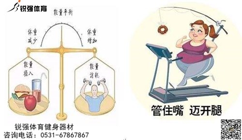 攝入 消耗能量對比.jpg 攝入 消耗能量對比.jpg