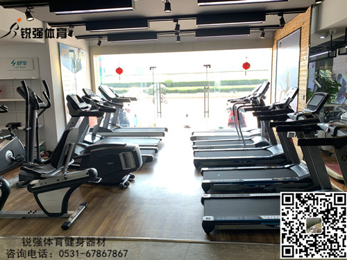 leyu.樂魚體育旗艦店的跑步機(jī)和橢圓機(jī)