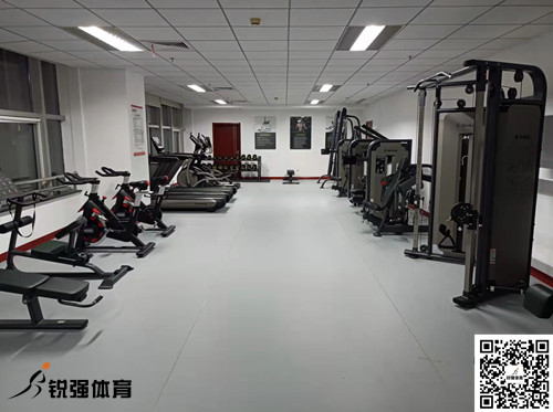 濟南某集團采購的leyu.樂魚體育提供的健身器材