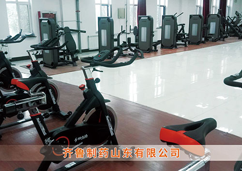 ?leyu.樂魚體育為齊魯制藥呼和浩特分公司打造健身房